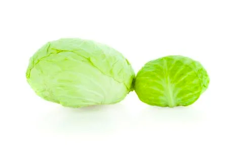Green cabbage isolated on white background. Stock Photos
