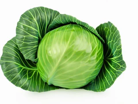 Green cabbage isolated on white background Stock Photos