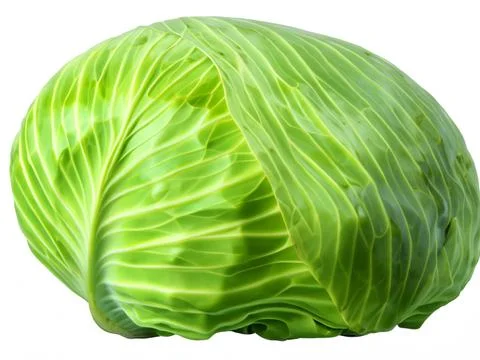 Green cabbage isolated on white background Stock Photos