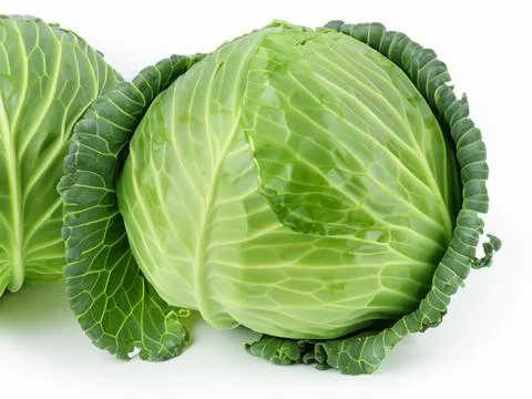 Green cabbage isolated on white background Stock Photos