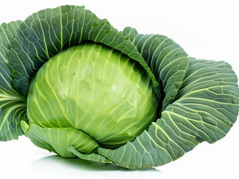 Green cabbage isolated on white background Stock Photos