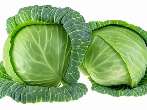 Green cabbage isolated on white background Stock Photos