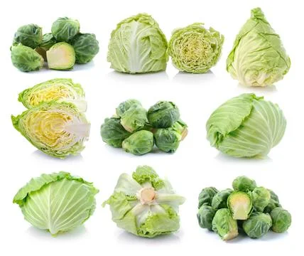 Green cabbage isolated on white Stock Photos