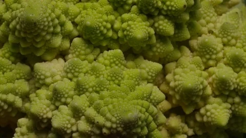 Green Cabbage In Motion  Stock Footage 73516379