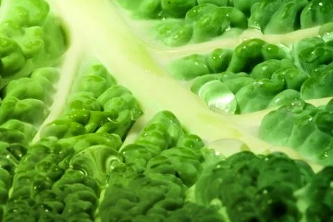 Green cabbage Stock Photos