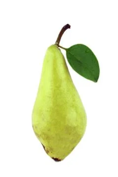 Green cabbage Stock Photos