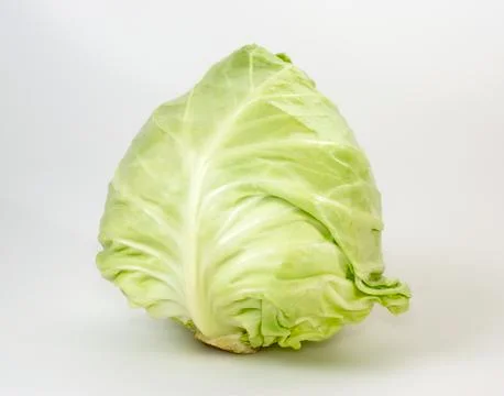 Green cabbage 스톡 사진