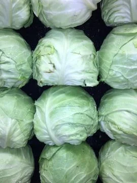 Green cabbage Stock Photos