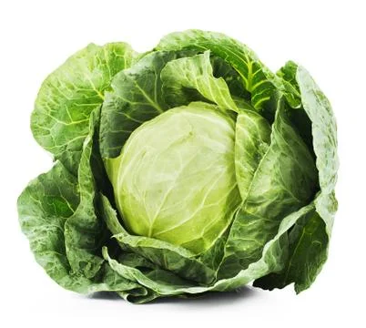 Green cabbage Stock Photos