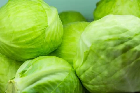 Green cabbage Stock Photos