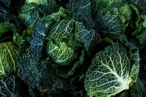 Green cabbage Stock Photos