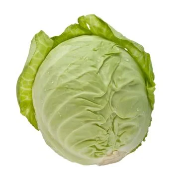Green cabbage Stock Photos