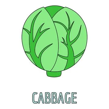 Green cabbage vegetable icon illustrating healthy eating Stock Illustration