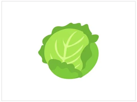 Green cabbage vegetable isolated. cabbage for farm market, vegetarian salad r Stock Illustration