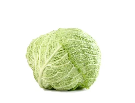 Green cabbage vegetable Stock Photos