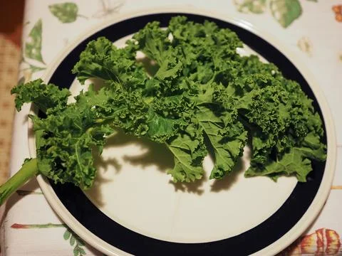 Green cabbage vegetable Foto stock