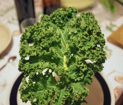 Green cabbage vegetable Stock Photos