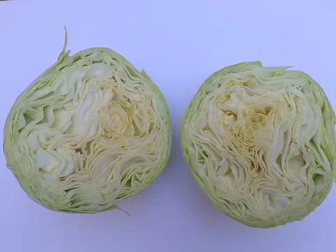 Green Cabbage on a white background Foto stock