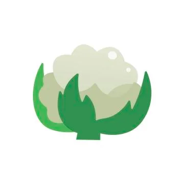 Green cabbage on white background. Vector illustration in trendy flat style. EPS Stock Illustration