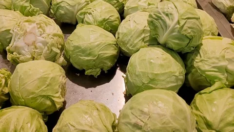 Green cabbages Stock Footage 320145861