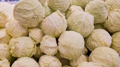 Green cabbages Stock Footage 320146461