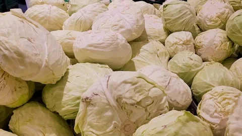 Green cabbages Stock Footage 320146541