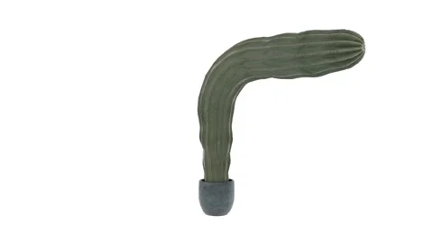 A green cactus in a gray pot easily bent in half and rotates counterclockwise Stock Footage 149000182