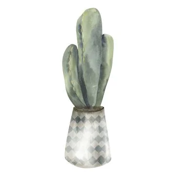 Green cactus in light pot with pattern watercolor illustration. Home plant,.. Stock Illustration