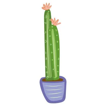 Green cactus in lilac pot vector illustration Stock Illustration