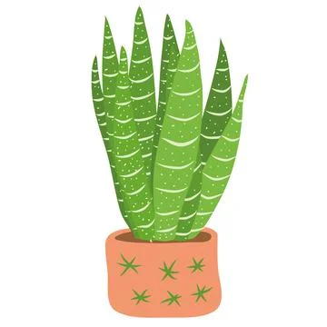 Green cactus in terracotta pot vector illustration Stock Illustration