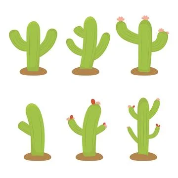 Green cactus vector set with flowers. Flat style isolated designs Stock Illustration