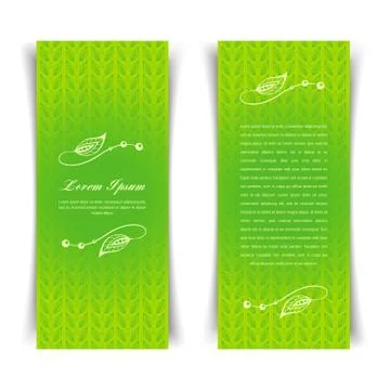 Green calligraphic elements Illustrazione stock