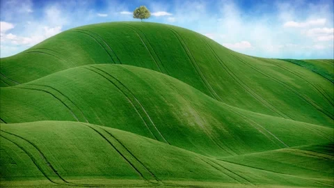 Green Calm Landscape View with the Tree Stock Footage 137287249