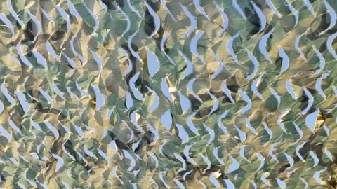Green camouflage net Stock Footage 311295108
