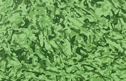 Green camouflage pattern texture background with organic shapes for military and Stock Illustration