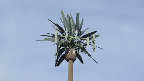 Green camouflaged cell phone tower disquised as a palm tree in northern Arizona Stock Footage