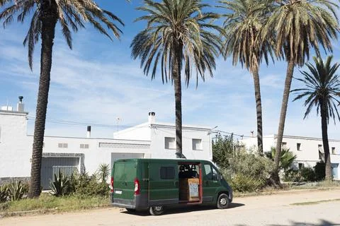Green camper van parked under palm trees, enjoying slow travel Фото