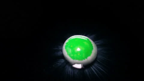 Green candy dissolves in water with abstract space effect. Stock Footage 126315636