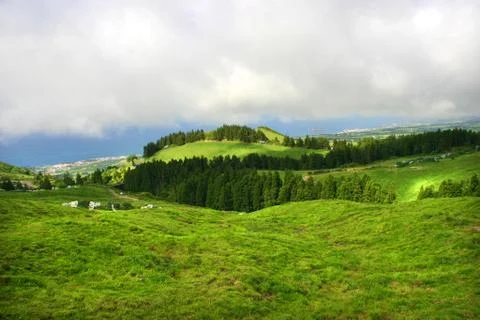 Green canion Stock Photos