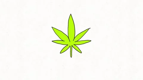 Green Cannabis Leaf Animation Stock Footage 335475014
