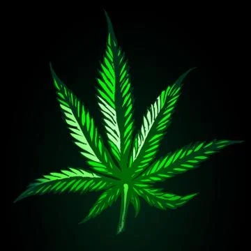 Green cannabis leaf on black background Stock Illustration