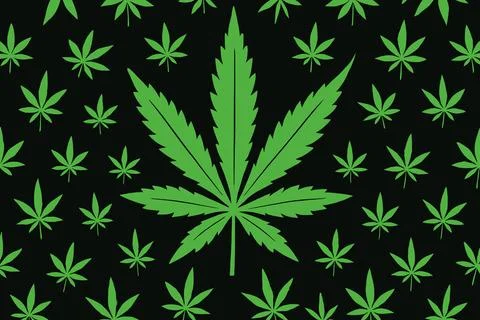 Green Cannabis Leaf Pattern on Black Background イラスト素材