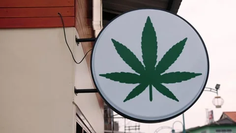 Green cannabis leaf sign marking commercial cannabis business, mounted on urban Stock Footage 314466928