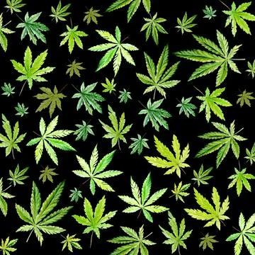 Green cannabis pattern on black background, green leaves Hand drawn watercolor Stock Illustration