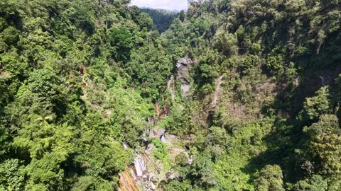 Green canopy blankets steep cliffs and winding streams 스톡 동영상 346918008