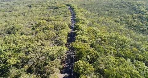 Green canopy of Ku-ring-gai national park in Sydney – passenger car 4k. Stock Footage 147293060