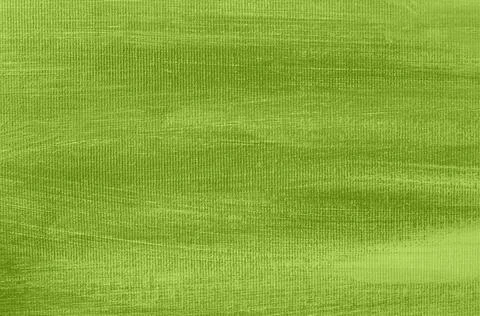 Green canvas background Stock Illustration