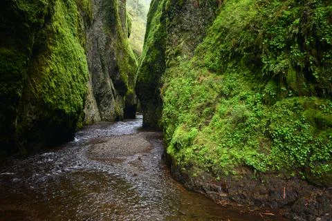 Green canyon Stock Photos