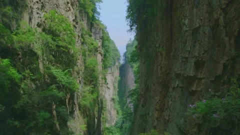 Green canyon with steep rock cliffs. Tops of mountain ranges covered trees. 스톡 동영상 133356109