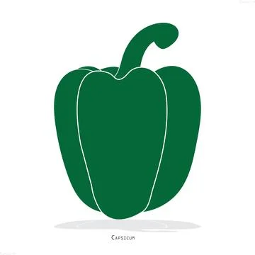 Green Capsicum Vector Illustration Fresh Vegetable Graphic Icon Stock Illustration